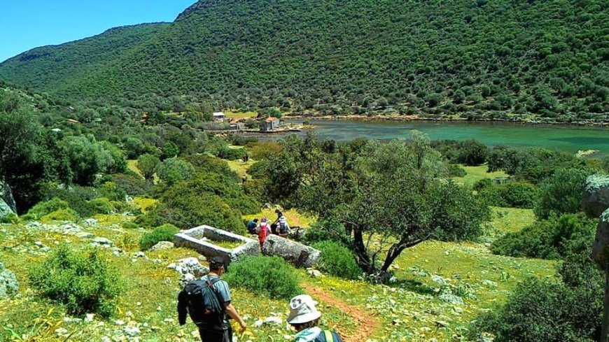 Kuru Ormanlar Sahası
