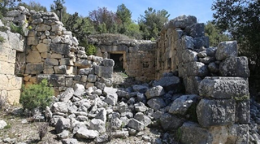ARNEAİ