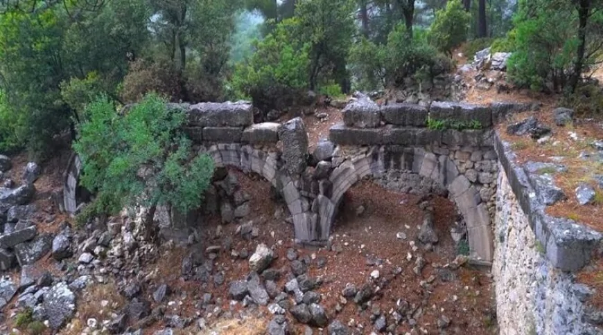 KİTANAURA
