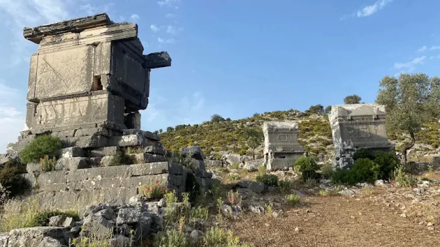 SİDYMA