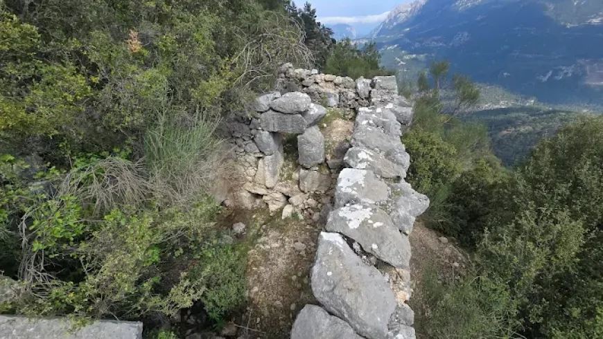 TYPALİA