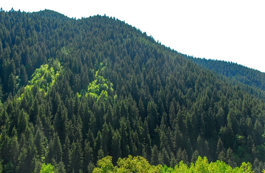 Lycian High Mountain Zone