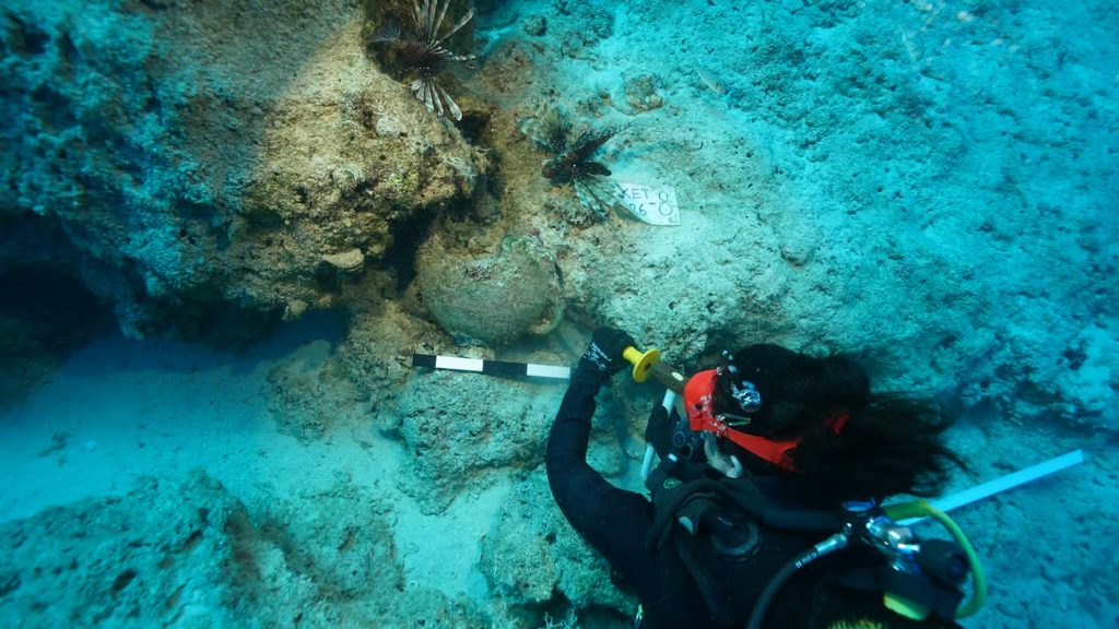 Amphora documented with a scale bar during the Kekova shipwreck excavation